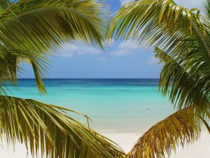Туры на Маврикий, Отдых на Маврикии, Свадебные туры на Маврикий